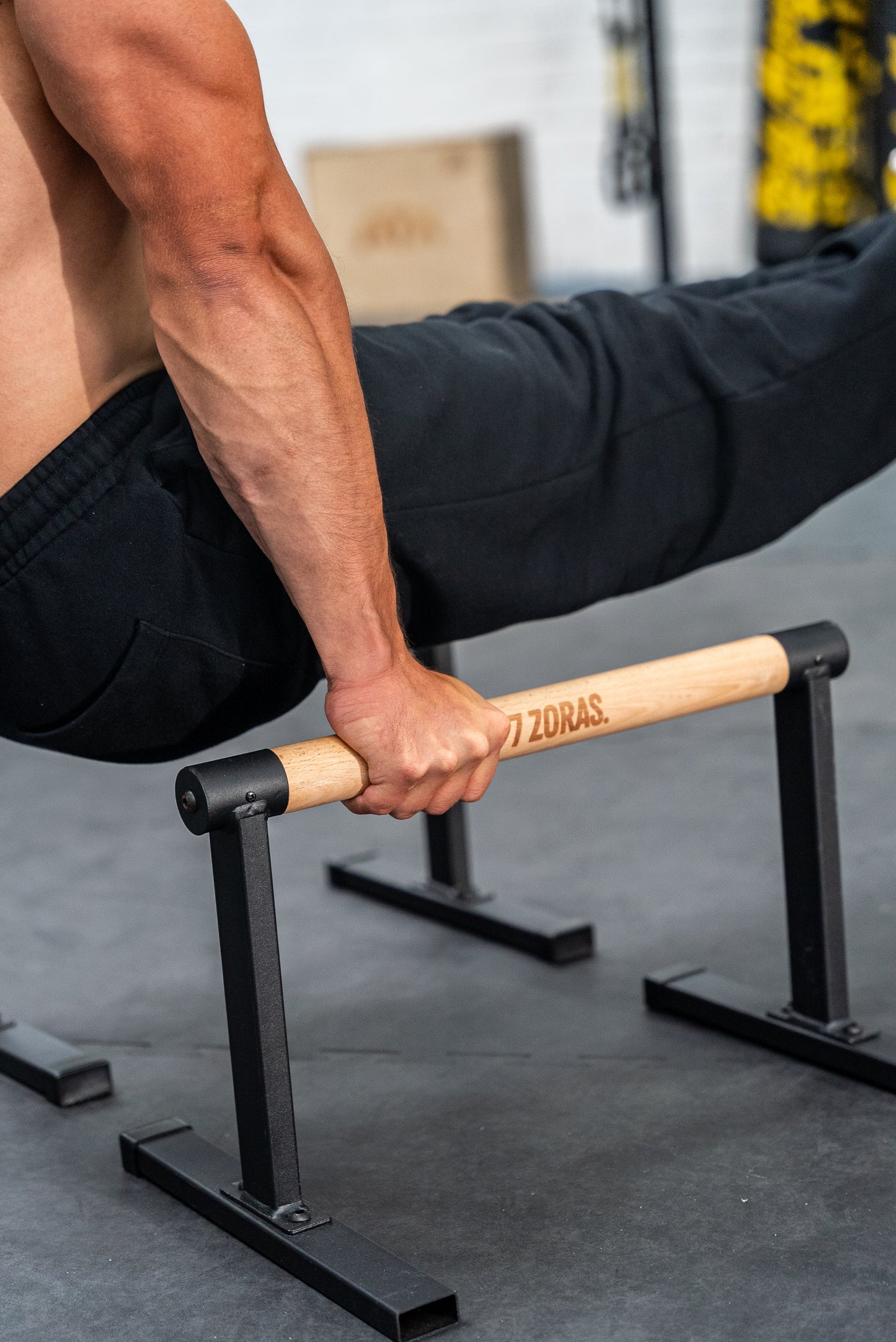 7Z Parallettes High Pro