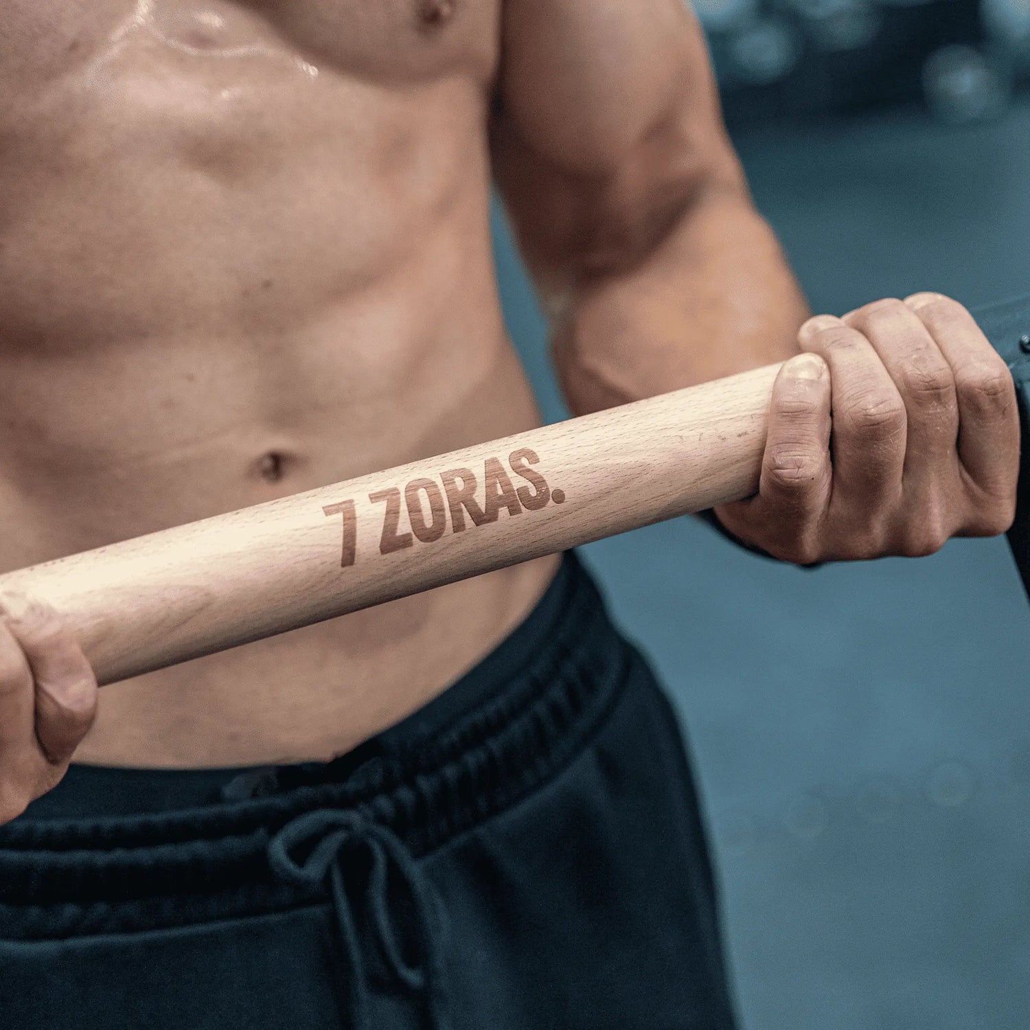 7Z Parallettes High Pro - 7 ZORAS