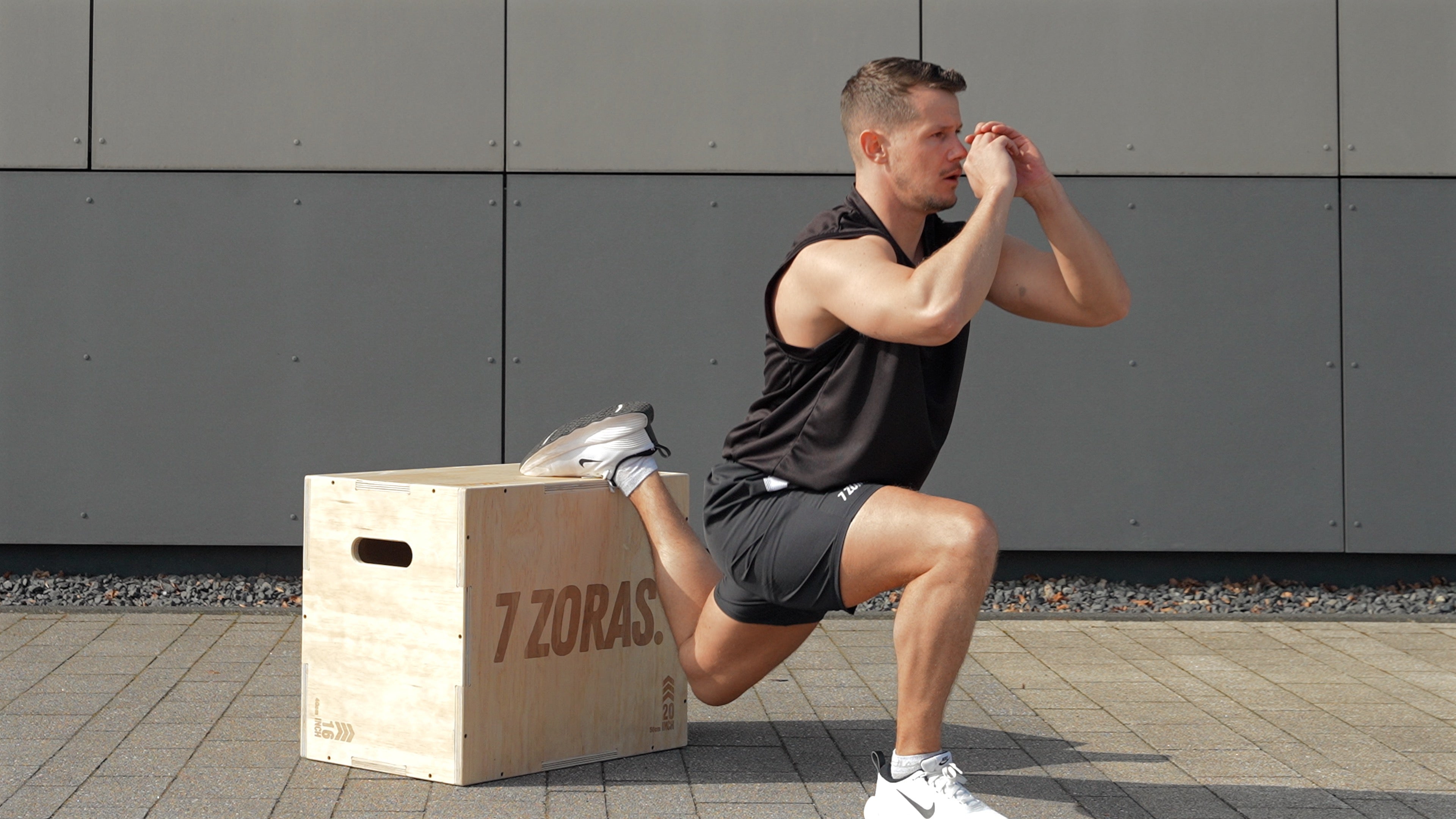 Load video: 7Z Parallettes High Pro
