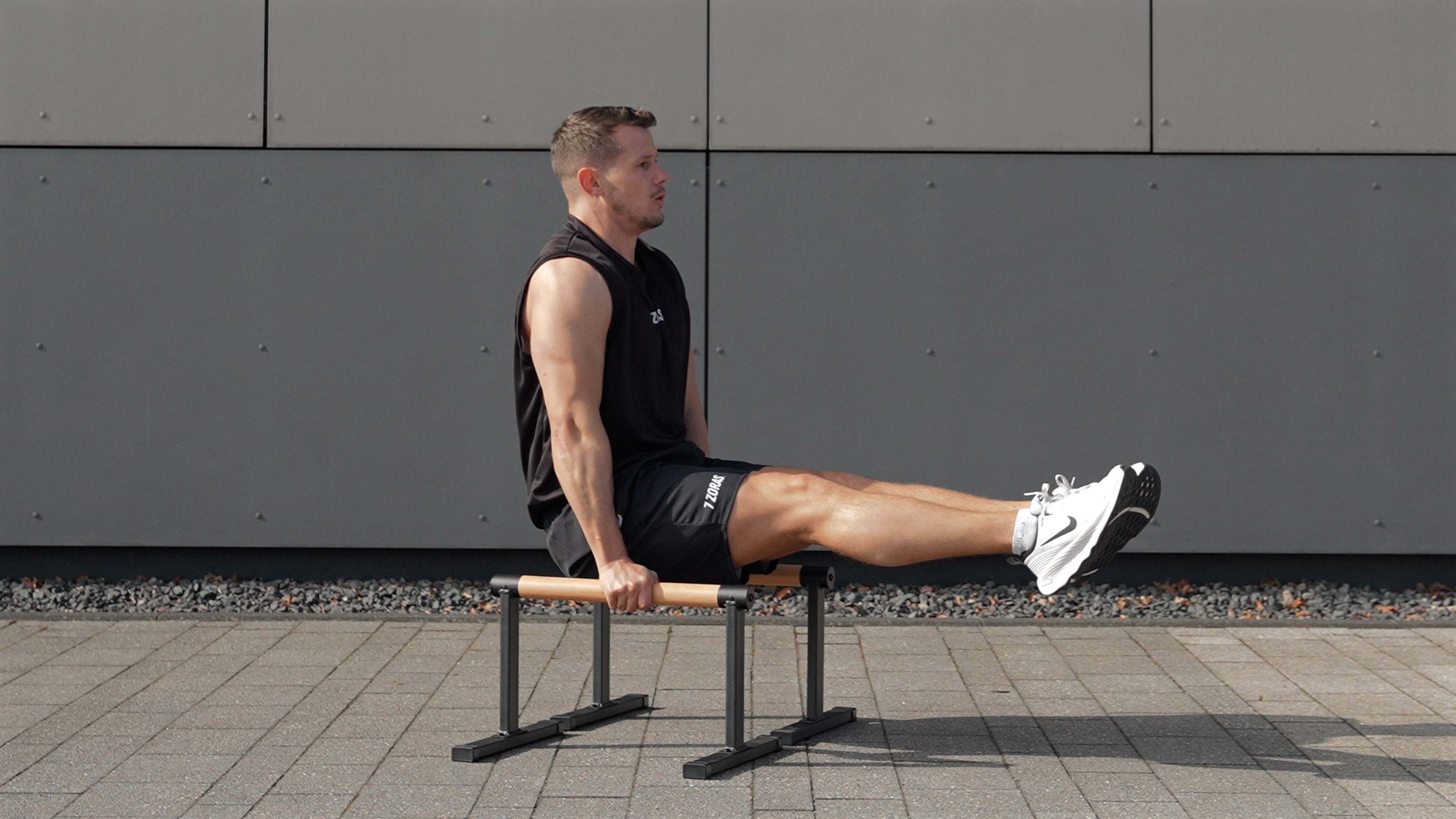 Load video: 7Z Parallettes High Pro